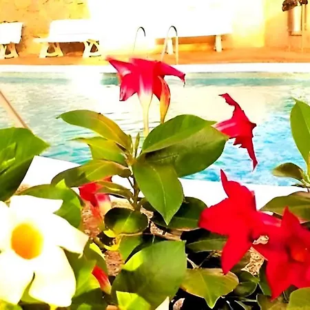 Apartament Paradis & Center