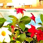 아파트 Paradis & Center